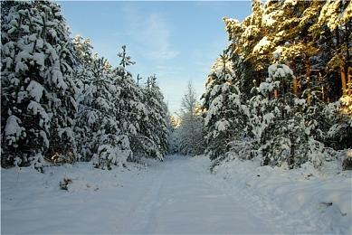动作冒险《尘封大陆》官宣延期 8月10日正式发售